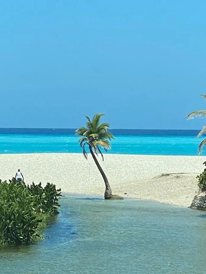 Ducassi-Sol Caribe Punta Cana Bavaro Beach Hotel Dominican Republic
